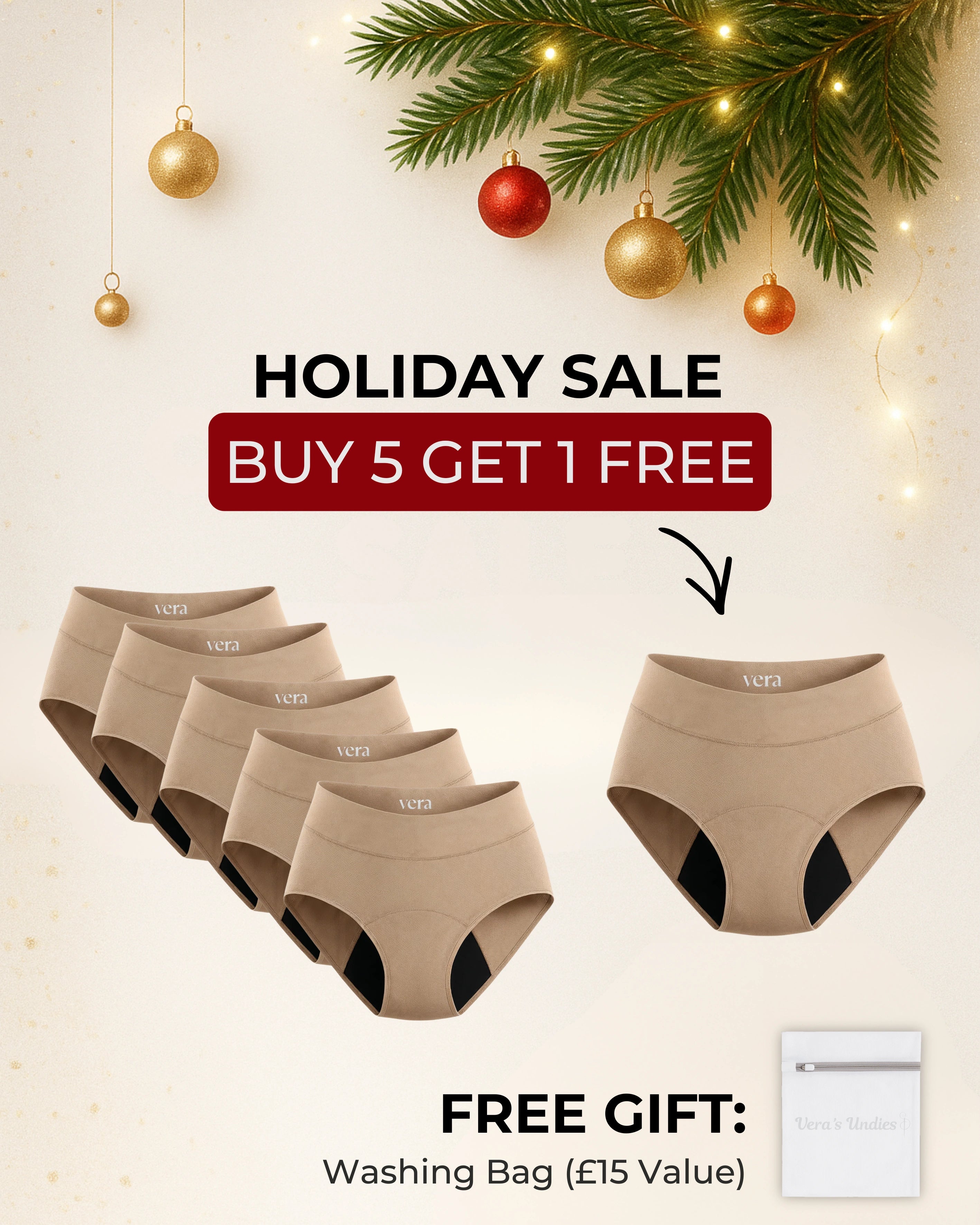 Vera's Signature Leakproof Underwear (5-Pack)