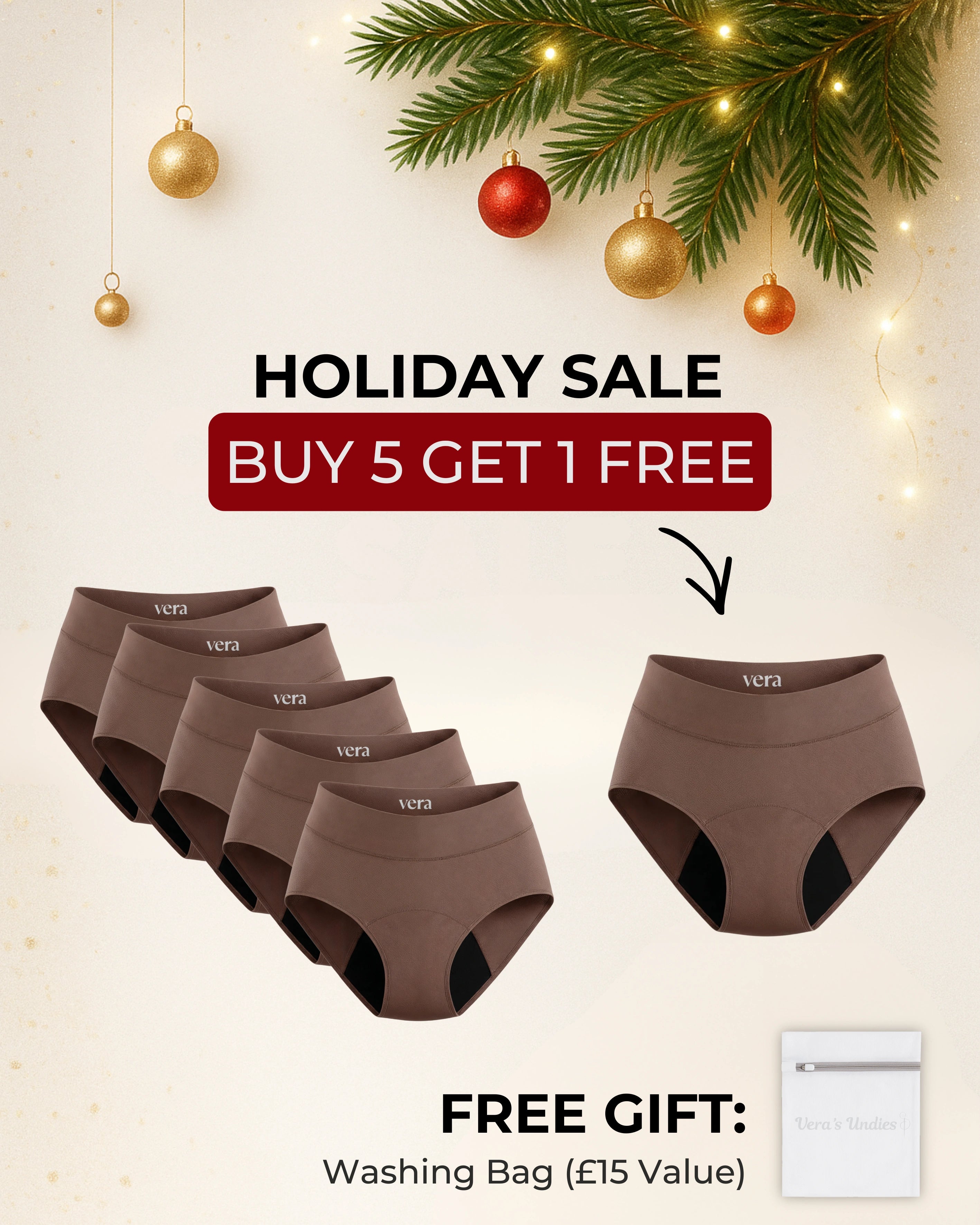 Vera's Signature Leakproof Underwear (5-Pack)