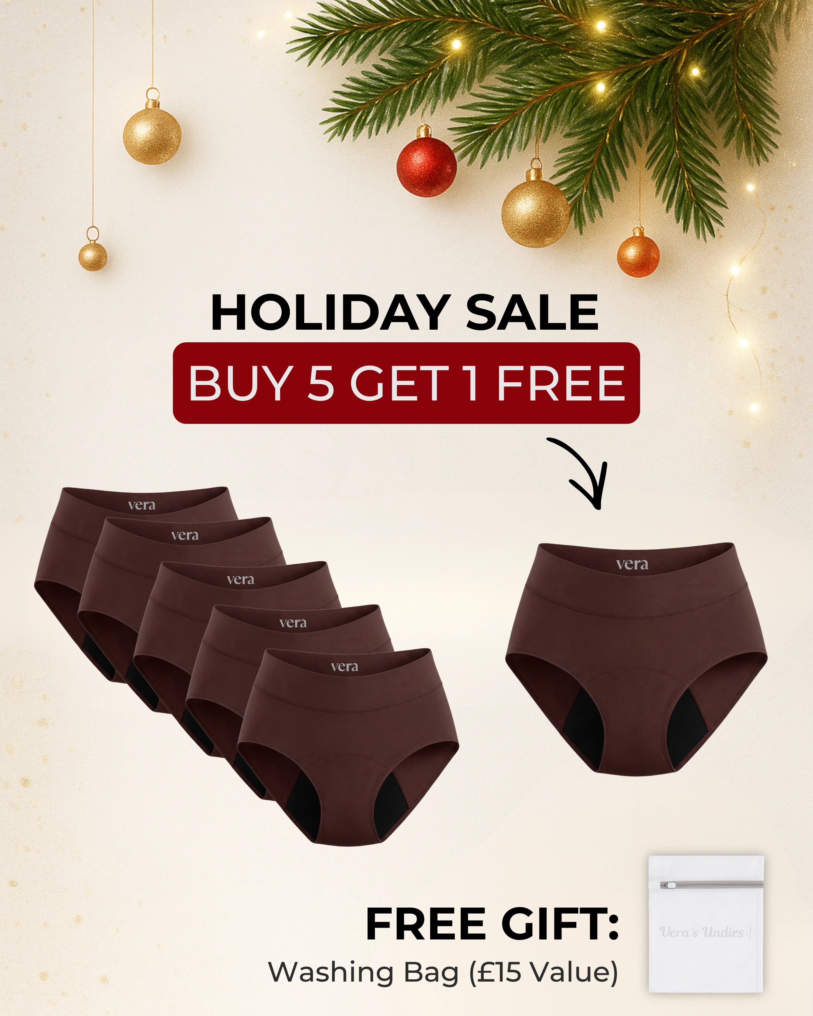 Vera's Signature Leakproof Underwear (5-Pack)