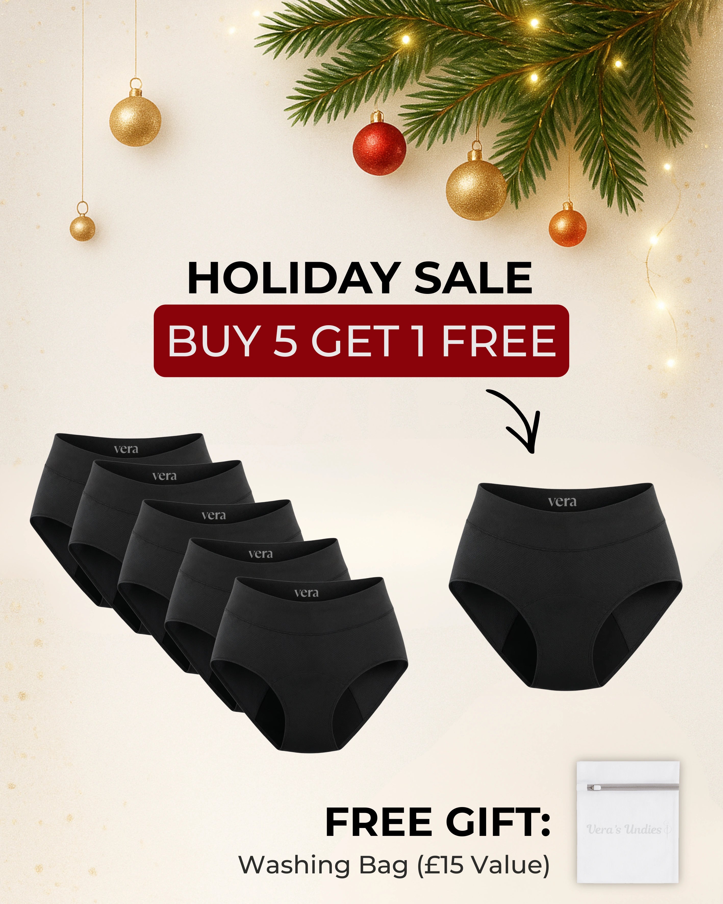 Vera's Signature Leakproof Underwear (5-Pack)
