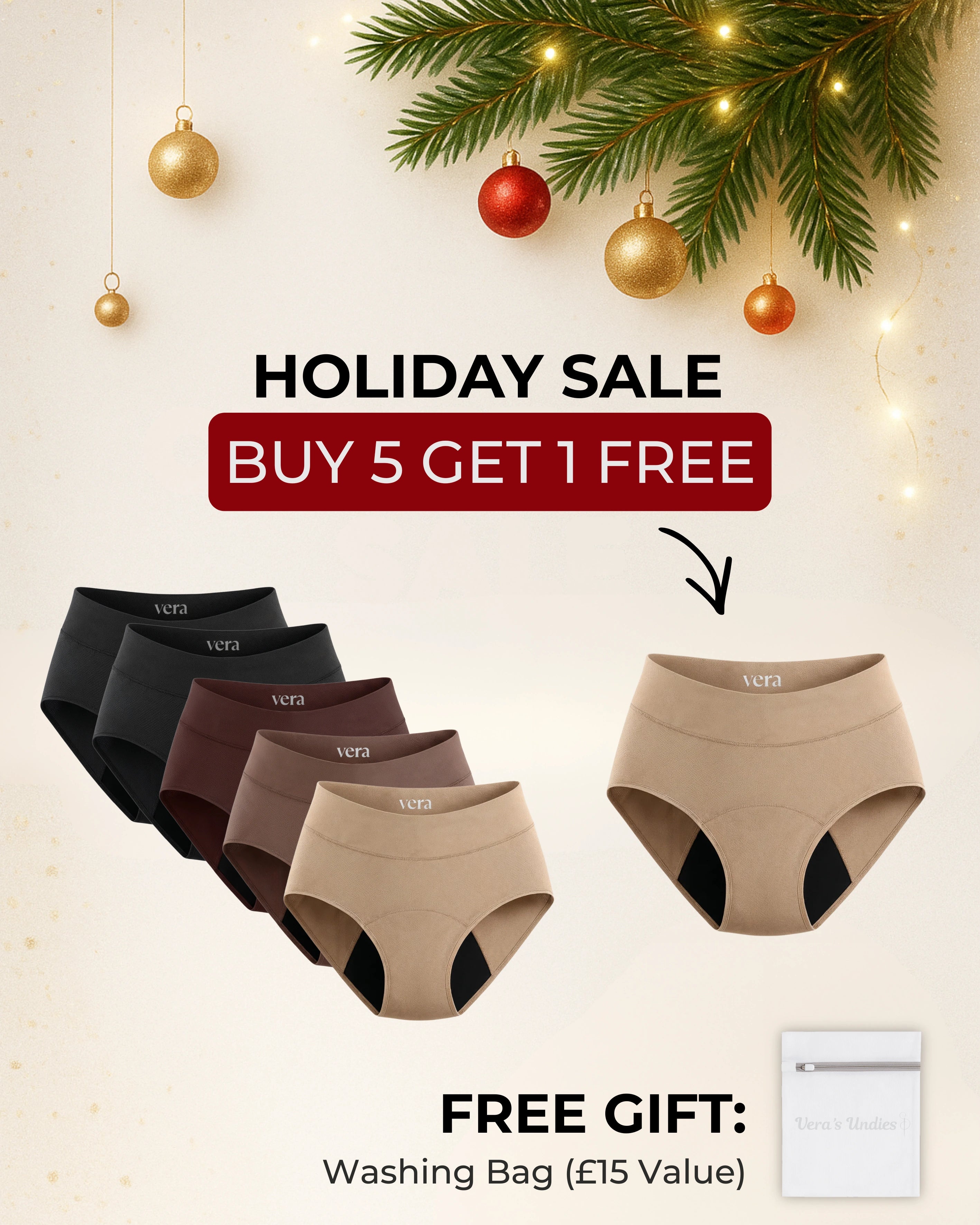 Vera's Signature Leakproof Underwear (5-Pack)