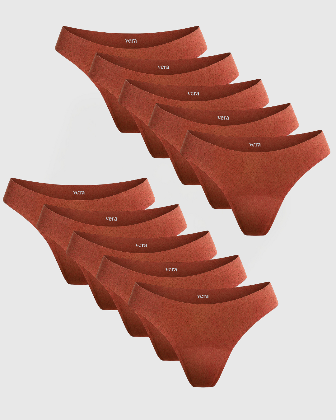 Vera’s Seamless Leakproof Thongs (10-Pack)