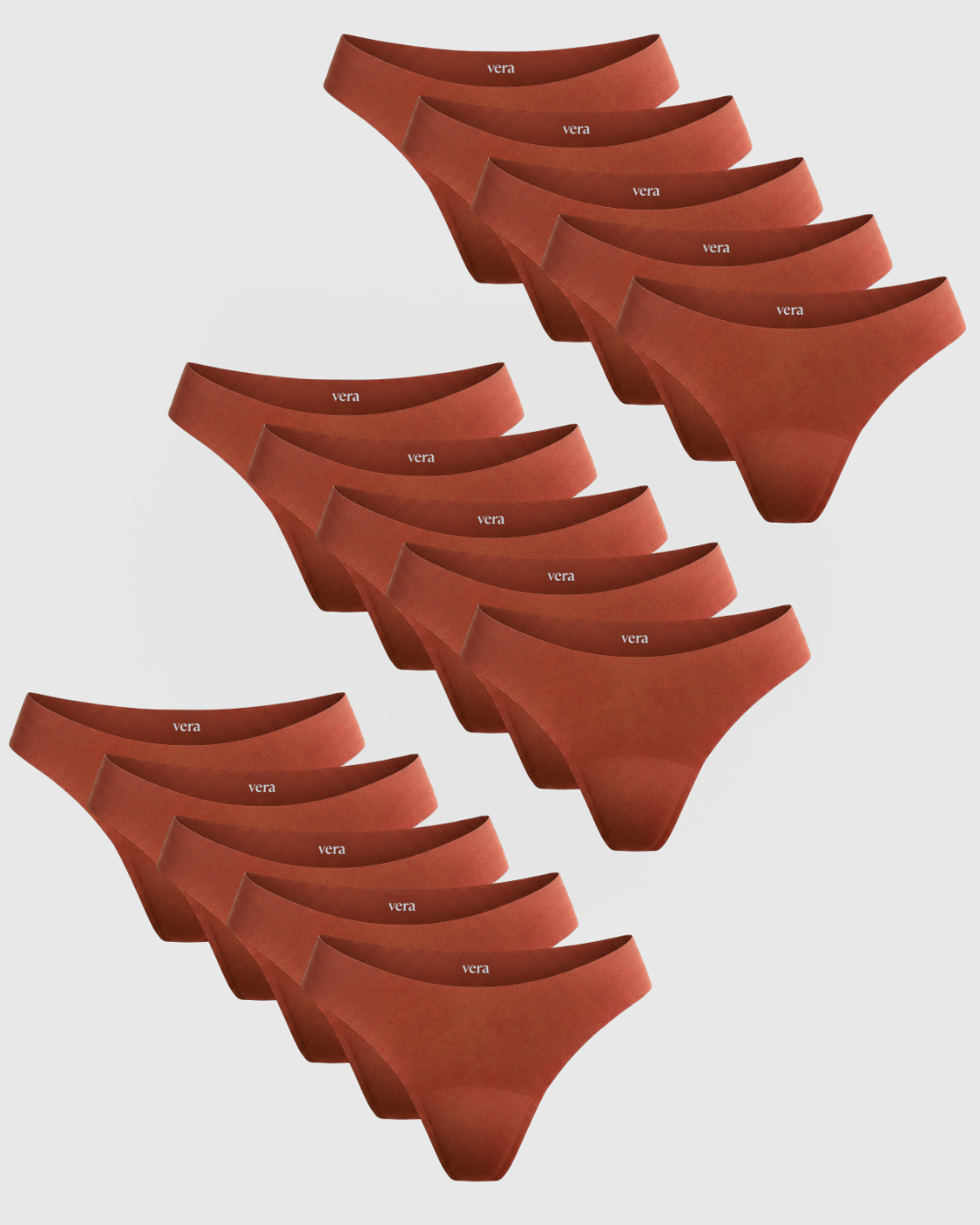 Vera’s Seamless Leakproof Thongs (15-Pack)