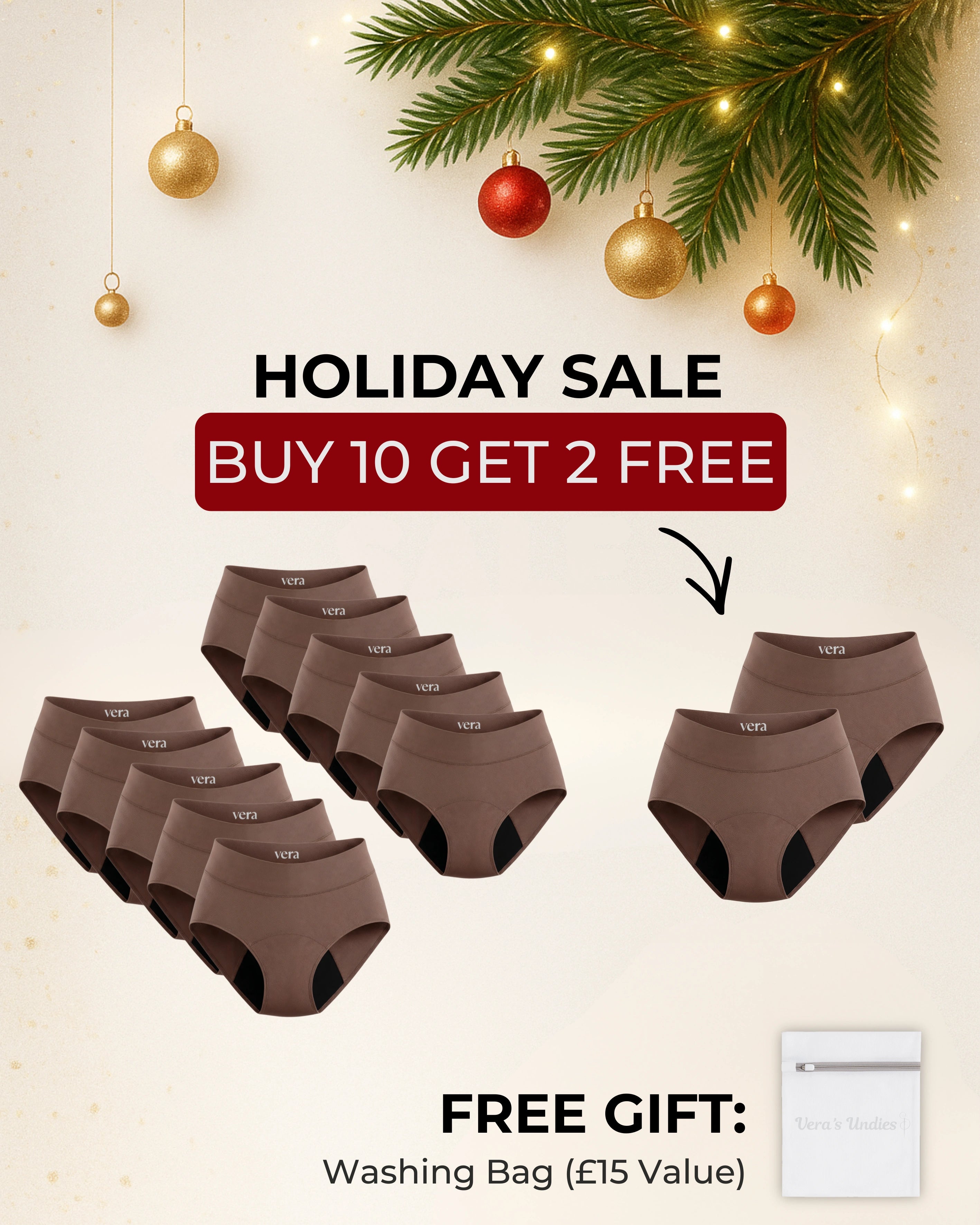 Vera's Signature Leakproof Underwear (10-Pack)