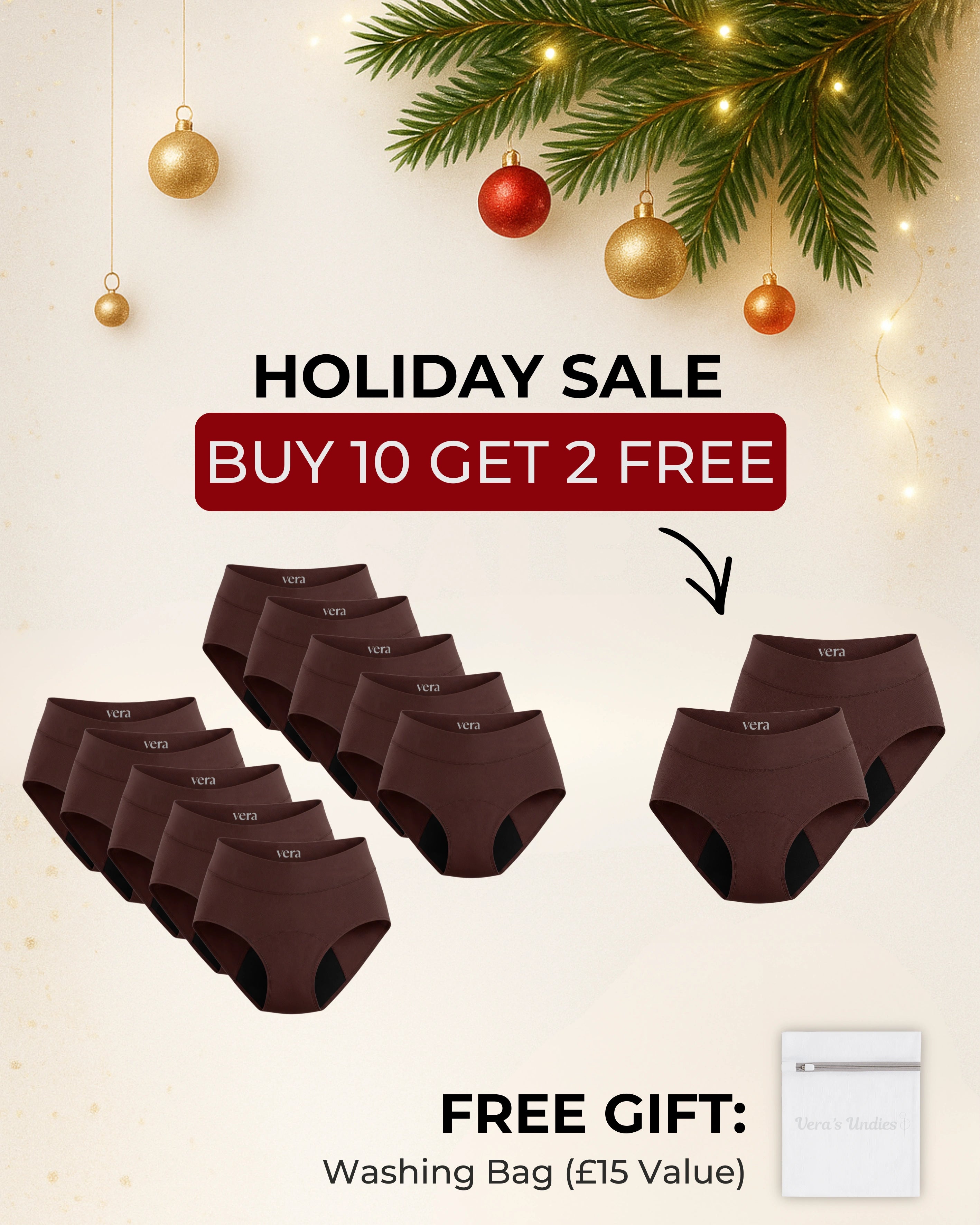 Vera's Signature Leakproof Underwear (10-Pack)