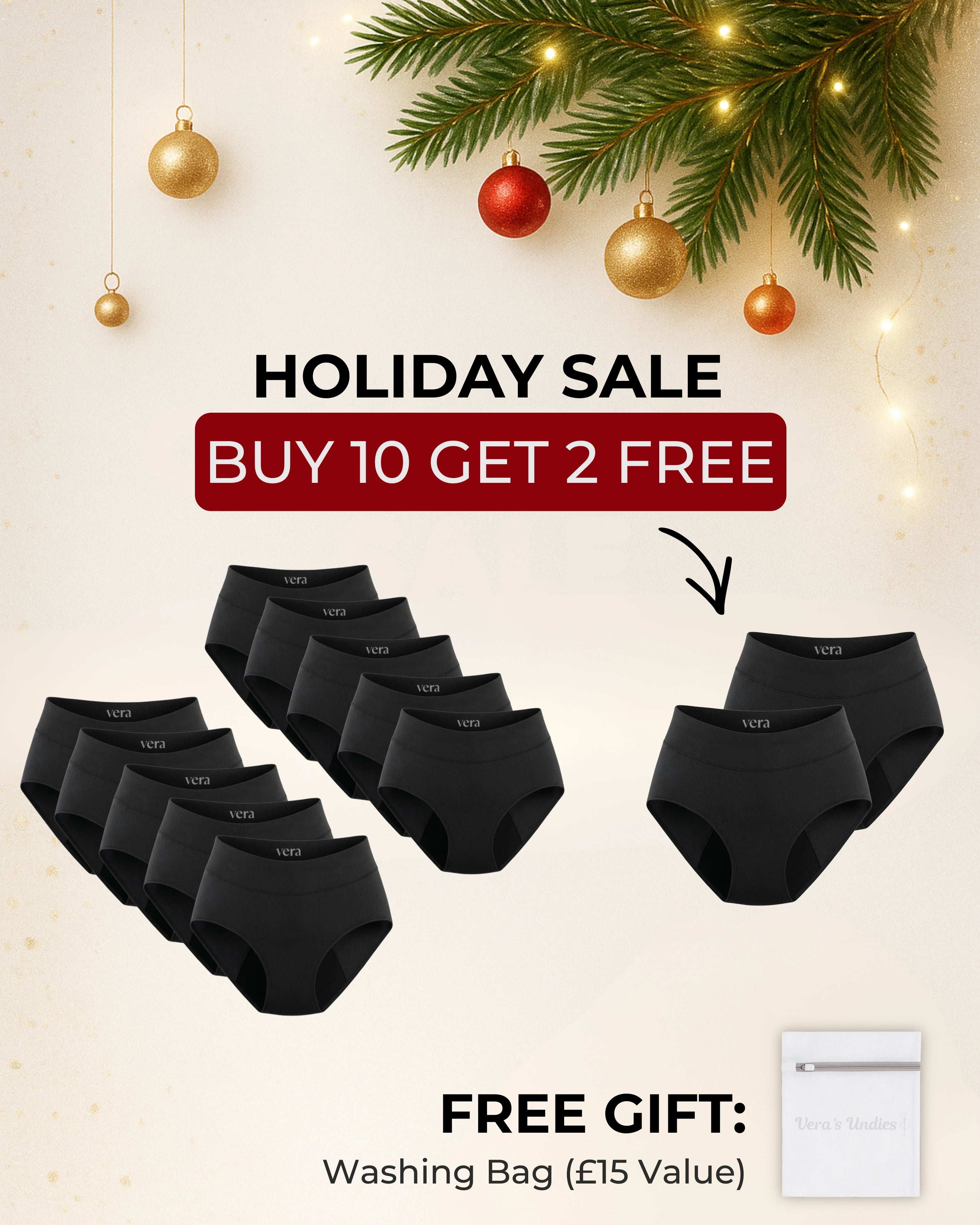 Vera's Signature Leakproof Underwear (10-Pack)