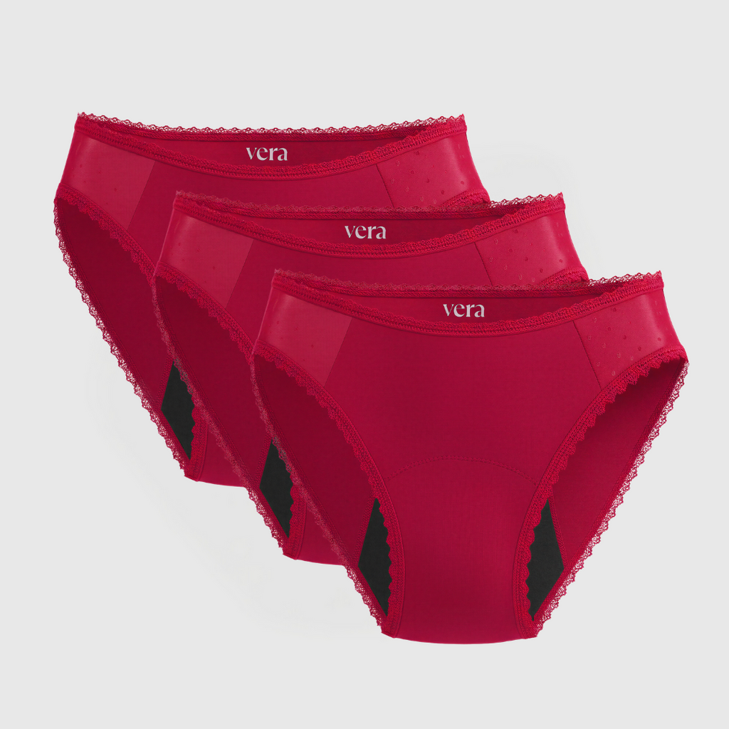 Vera's Elegant Leakproof Briefs (3-Pack)